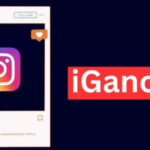 How Does the IgAnony Platform Work