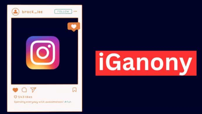 How Does the IgAnony Platform Work