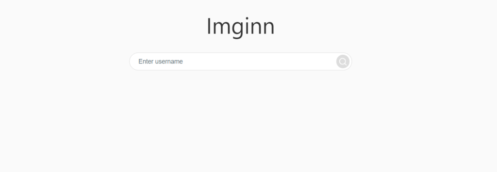 How Does the Imginn Platform Work