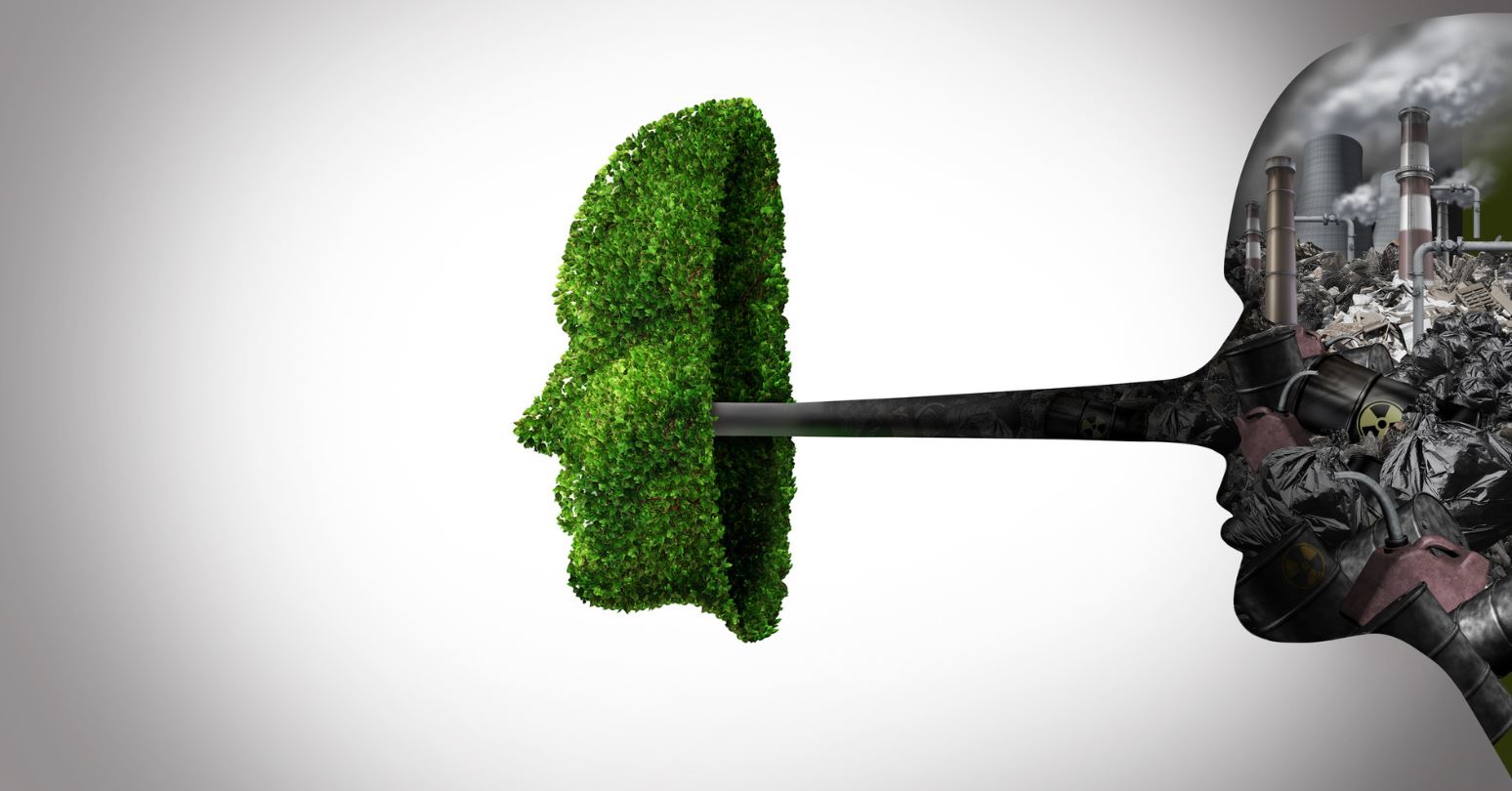 Understanding greenwashing